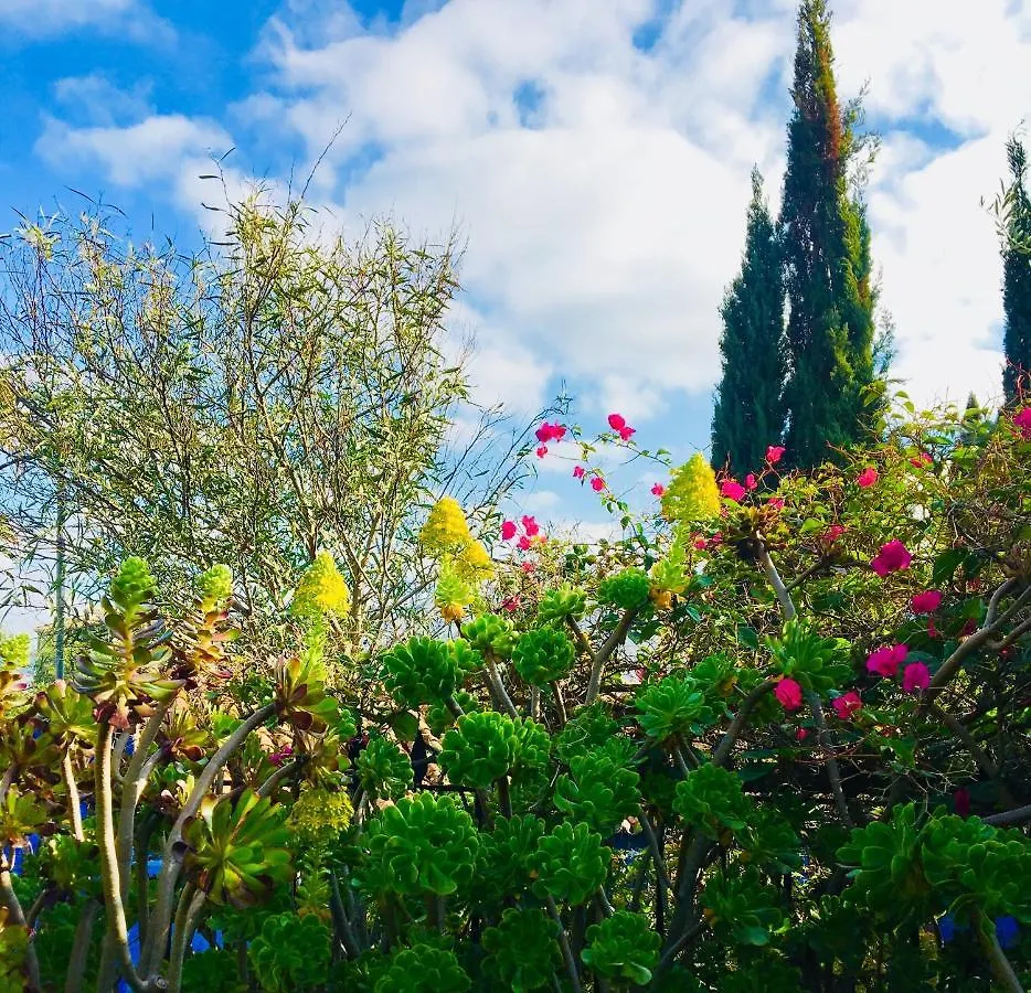 Bohemian Villa - Malaga Alora